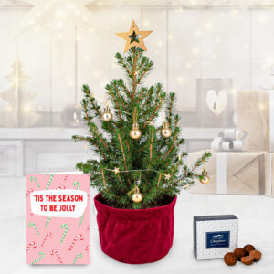 Christmas Letterbox Tree with Card