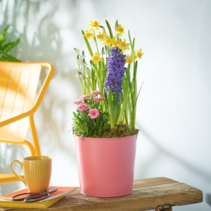 Uplifting Spring Pot