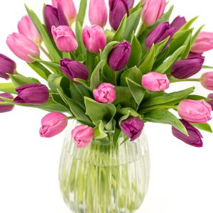 Simply Tulips