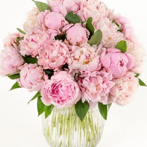 Perfect Peonies